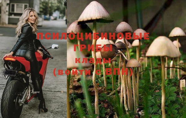 соль ск Алексин