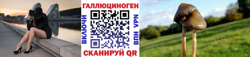 Псилоцибиновые грибы Psilocybine cubensis  купить наркотики сайты  Серов 