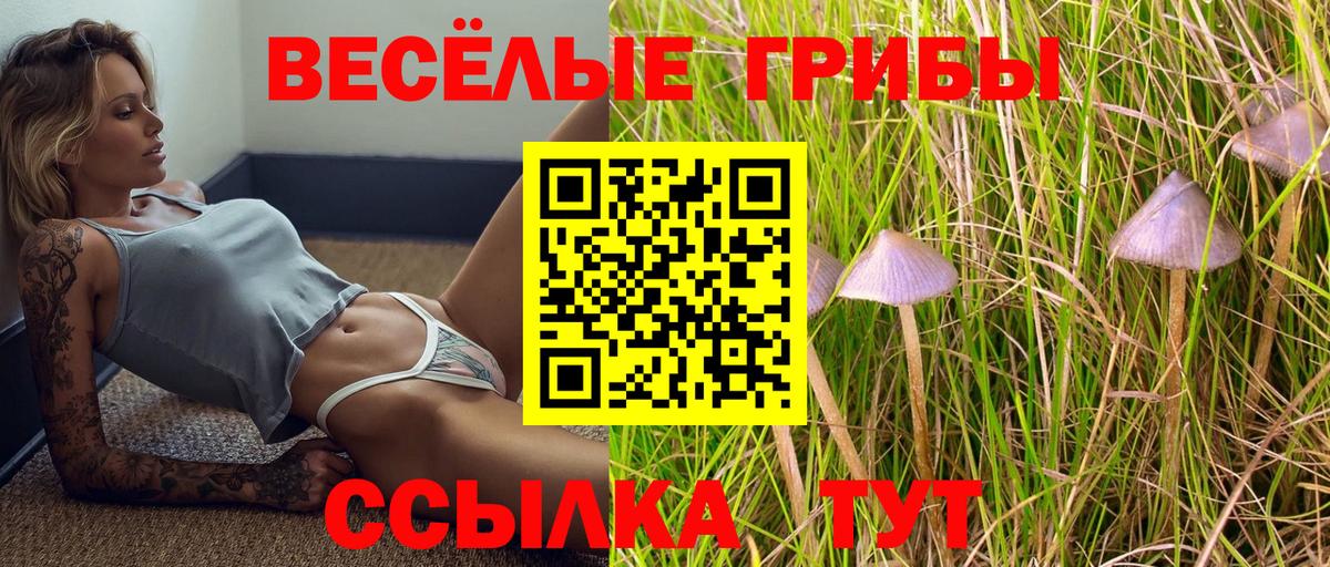 Псилоцибиновые грибы GOLDEN TEACHER  Вход с VPN  Серов 