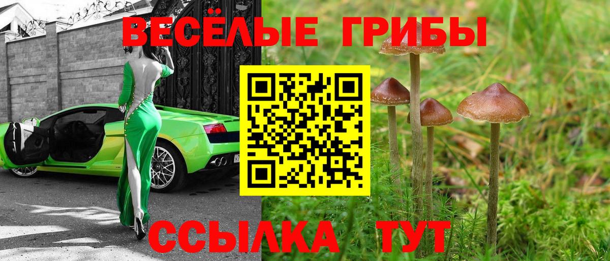 Псилоцибиновые грибы GOLDEN TEACHER Серов